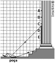 Resposta da questão 17: [E] Os raios de luz provenientes da região escura chegarão aos olhos da pomba. Todos os pontos desta região poderão ser vistos.