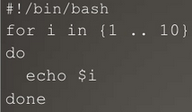 Estrutura básica dos scripts Bash shell