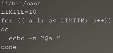 Estrutura básica dos scripts Bash shell