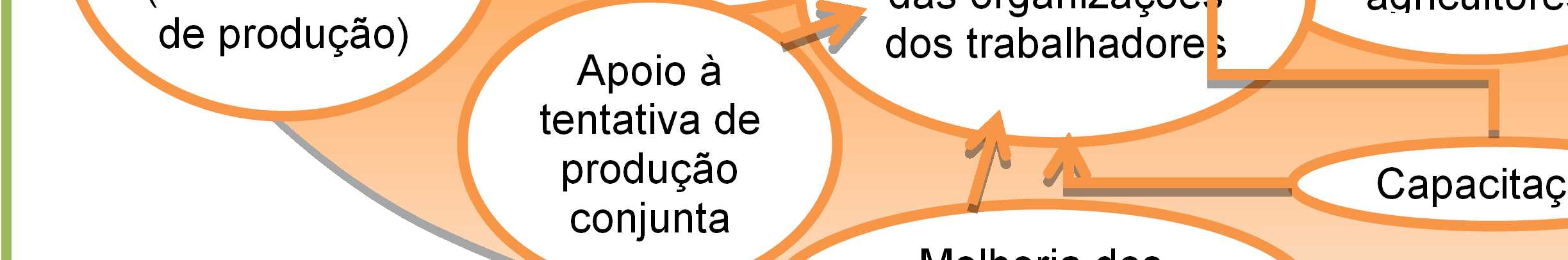 Melhorar a protecção dos Direitos Apoio às agricultoras e e à Igualdade entre géneros Apoio à tentativa de produção conjunta Apoio ao desenvolvimento social de outros sectores Aumentar Produtividade