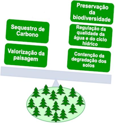 SUMÁRIO EXECUTIVO Enquadramento do Estudo O Estudo Económico de Desenvolvimento da Fileira do medronho enquadra-se na estratégia de valorização da floresta do, procurando estudar a dinamização da