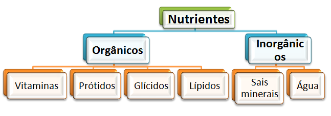 Como os nutrientes são classificados? Os nutrientes podem ser de natureza orgânica ou inorgânica.