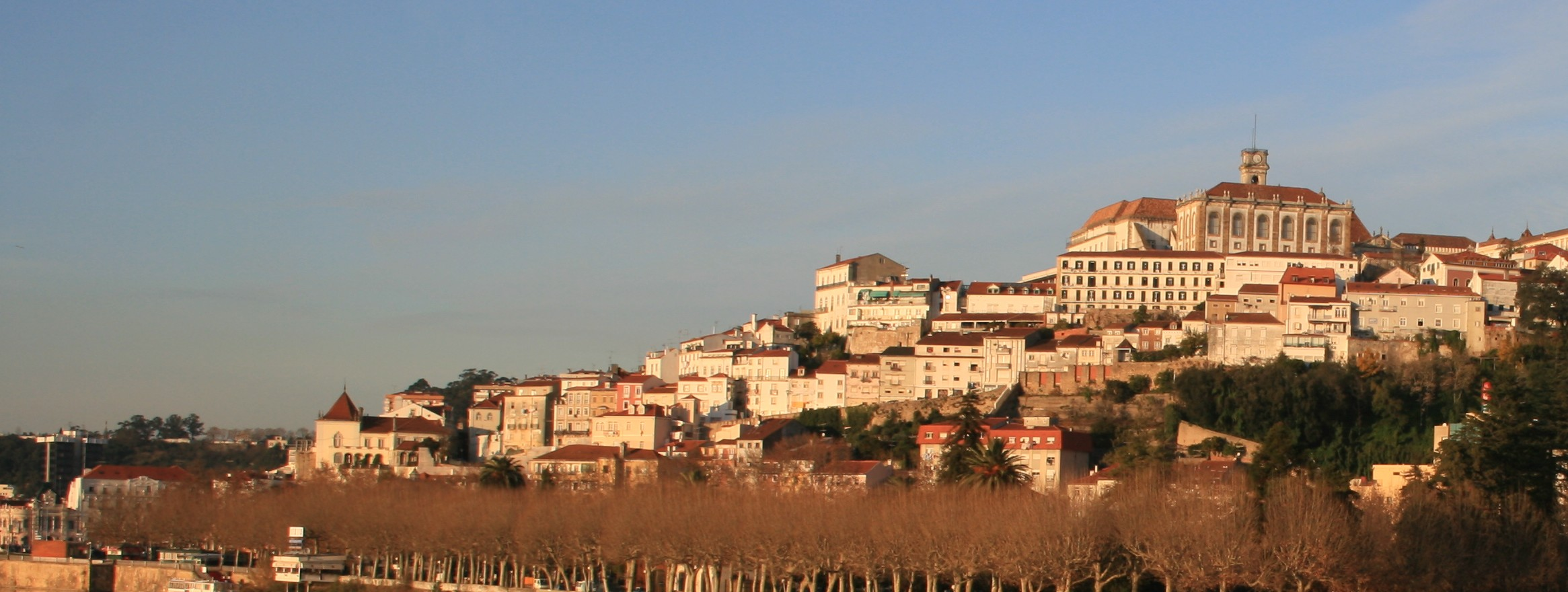 5º Congresso da Sociedade Portuguesa de Fitopatologia 22 e 23 de Novembro de 2007 Coimbra www.spfitopatologia.