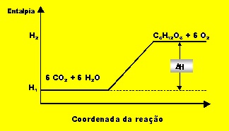 Representações gráficas (2) Fotossíntese -