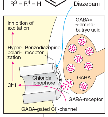 3. MECANISMO DE AÇÃO DOS BZDs Ilustração do receptor GABA A, com seus sítios