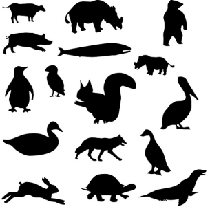 Etapa 2: Conhecendo os animais selvagens http://pixabay.com/pt/animais-silhueta-desenho-vaca-163719 Atividade 1 Momento 1: Apresentação do material anexo, denominado Animais Selvagens.