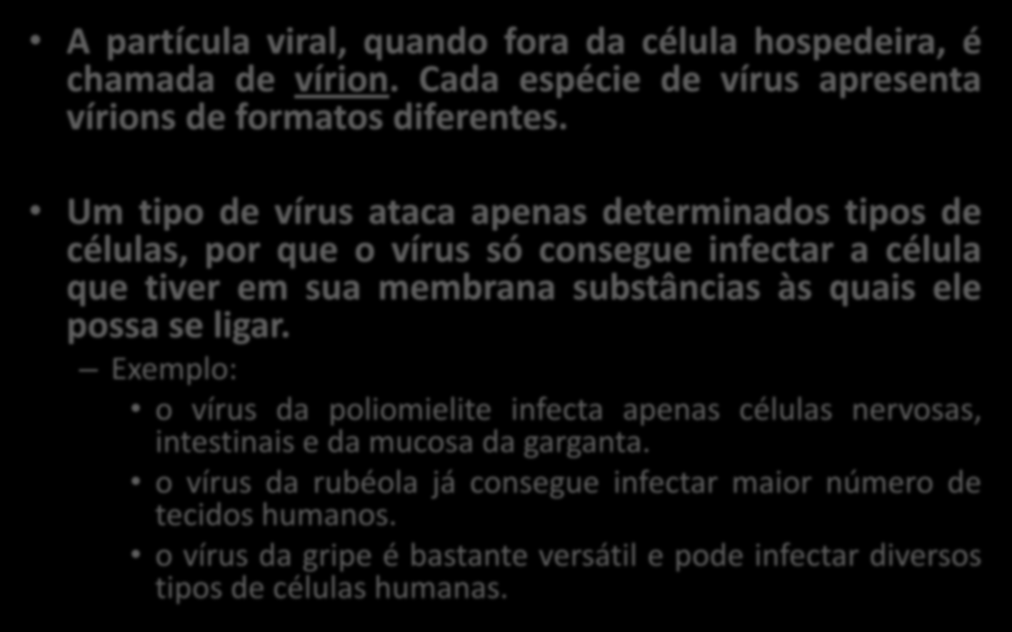 IMPORTANTE A partícula viral, quando fora da célula hospedeira, é chamada de vírion. Cada espécie de vírus apresenta vírions de formatos diferentes.