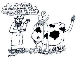 08. Nos bovinos, as condições do ambiente ruminal inviabilizam a produção de álcool a partir da fermentação dos açúcares da cevada.