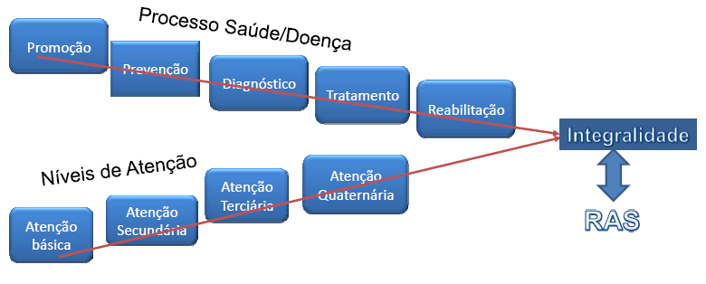 11 www.romulopassos.com.br / www.questoesnasaude.com.br Fonte: www.saude.gov.br O gabarito, portanto, é a letra A. 14. (MPE-MG/FUNDEP/2012) O Decreto n. 7.508, de 28/06/2011, [...] Regulamenta a Lei n.