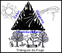 Princípios de combate ao fogo Mauricio Vidal de Carvalho Entende-se por fogo o efeito da reação química de um material combustível com desprendimento de luz e calor em forma de chama.