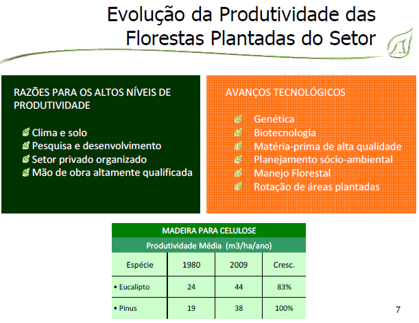 O Brasil é o quarto maior produtor de celulose mundial e o nono maior produtor de papel.