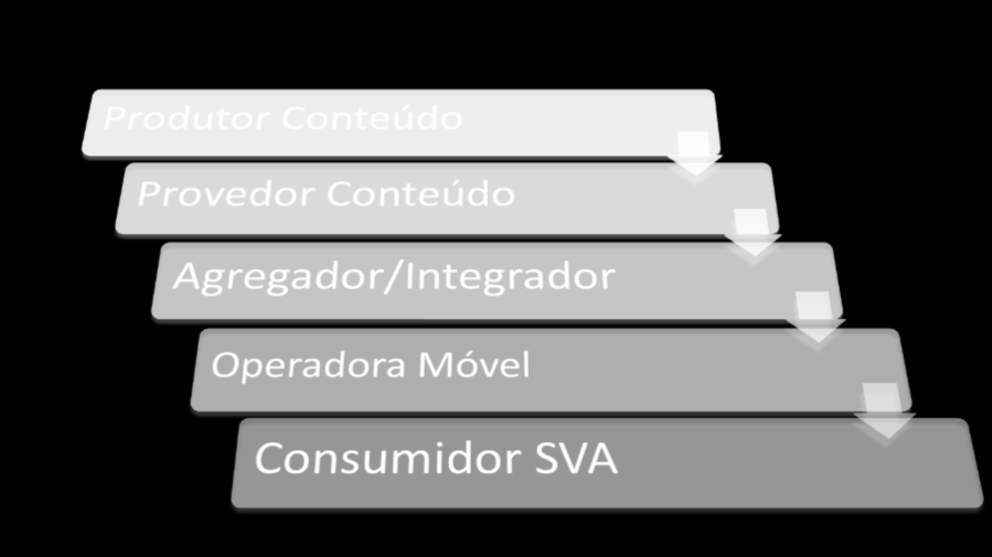 Players O mercado de SVA brasileiro contém diversos