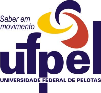 UNIVERSIDADE FEDERAL DE PELOTAS CENTRO DE INTEGRAÇÃO DO MERCOSUL CURSO SUPERIOR DE TECNOLOGIA EM