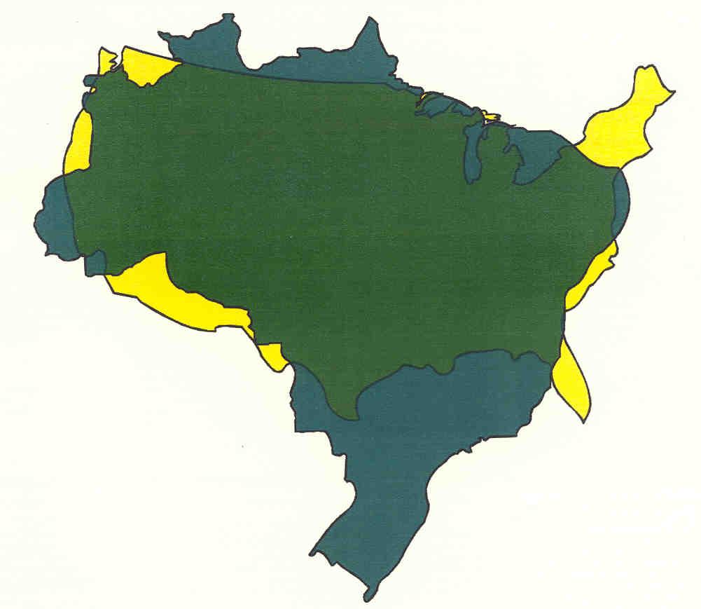 Brasil - EUA
