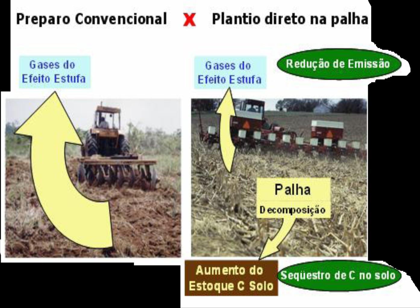 PLANTIO DIRETO NA PALHA 25,0 milhões ha 8,0