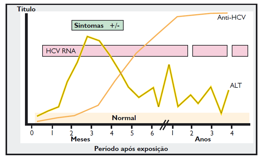 Cinética de evolução dos