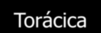 Articulação Escapulo-Torácica Depressão Elevação Rotação Superior Rotação