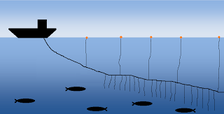 Figura 9: Vista geral de manzuá para captura de peixes Figura 10: Lançamento de manzuá no mar Nota: Manzuás para peixe pouco oferecem riscos paras tartarugas marinhas.