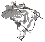 Questões para Revisão Cap. 3-7ºs anos - prova 2 1. Um pesquisador visitou as cidades de Salvador, Brasília e Manaus para caracterizar o compartimento geomorfológico de cada uma delas.