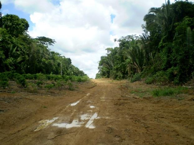 Bioma Amazônia ou Domínio Amazônico Clima: 1- Equatorial temperaturas entre 25ºC e 27º C e elevado índice pluviométrico.