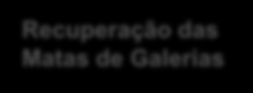 Recuperação das Matas de Galerias Florestas Energéticas Total dos