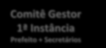 Estruturas Coletivas de Gestão - Acompanhamento Transversal Comitê Gestor 1ª Instância Prefeito + Secretários 13 x Comitês de Gerenciamento CG Secretários com ações no Programa GT GTPE GTG CT Comitê