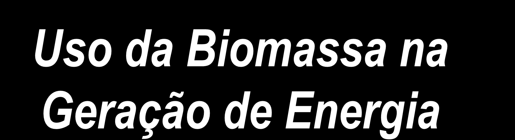 Uso da Biomassa na Geração de Energia Rui Guilherme Altieri Silva