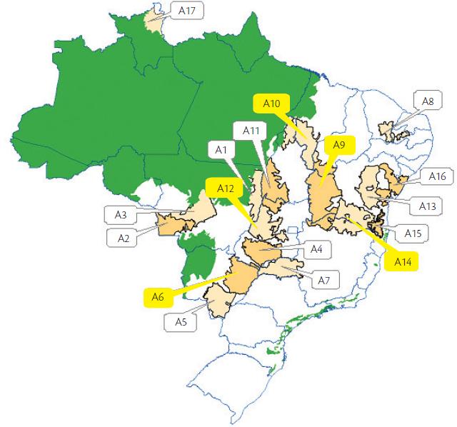 Potencial Energético Potencial a ser explorado de Biomassa de Cana OBS: Regiões com maior potencial indicadas em amarelo (CGEE e NIPE/UNICAMP, 2009)