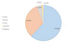 2 Pode-se notar que a pirâmide demográfica começa a tomar outro formato, diminuindo a população em idade escolar e aumentando a faixa da população econômicamente ativa.