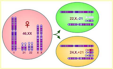 Alterações Cromossômicas -