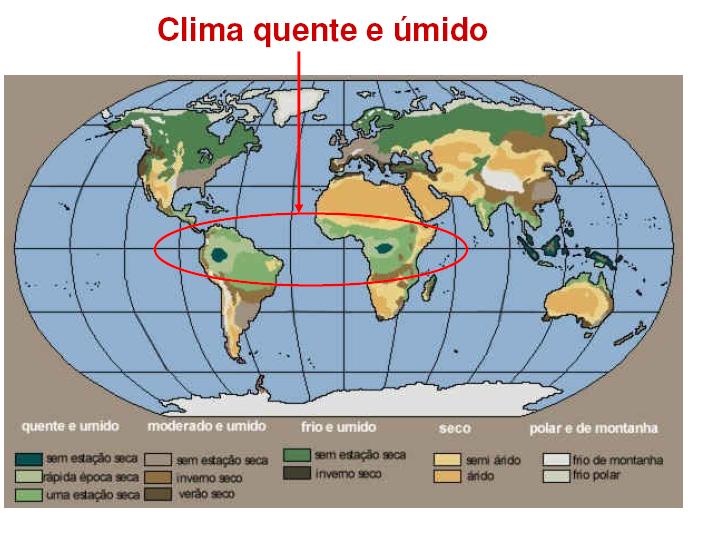 virtude disto a formação