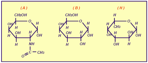 95 O álcool benzílico, o cresol e o anizol, respectivamente, São isômeros: a) de posição. b) de função. c) de compensação. d) de cadeia. e) dinâmicos.