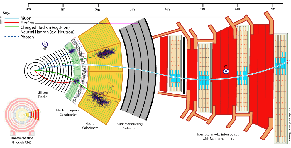 CAPÍTULO 4. O EXPERIMENTO CMS NO LHC 45 Figura 4.5: Vista transversal de um octante do detector CMS. Figura 4.6: À esquerda uma foto do solenóide e à direita uma concepção artística geral do mesmo.
