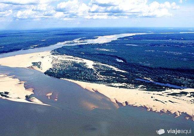 ILHA DO BANANAL. O Parque está situado na faixa de transição entre a Floresta Amazônica e o Cerrado, predominando os Campos.