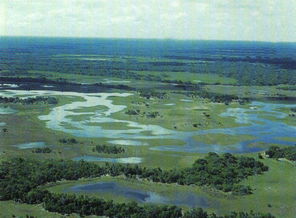 As nascentes dos principais rios pertencem ao Brasil. Aqui, três bacias compõem a Bacia Platina:Paraguai,Uruguai e Paraná. Os nomes das bacias correspondem aos três principais rios que a formam.