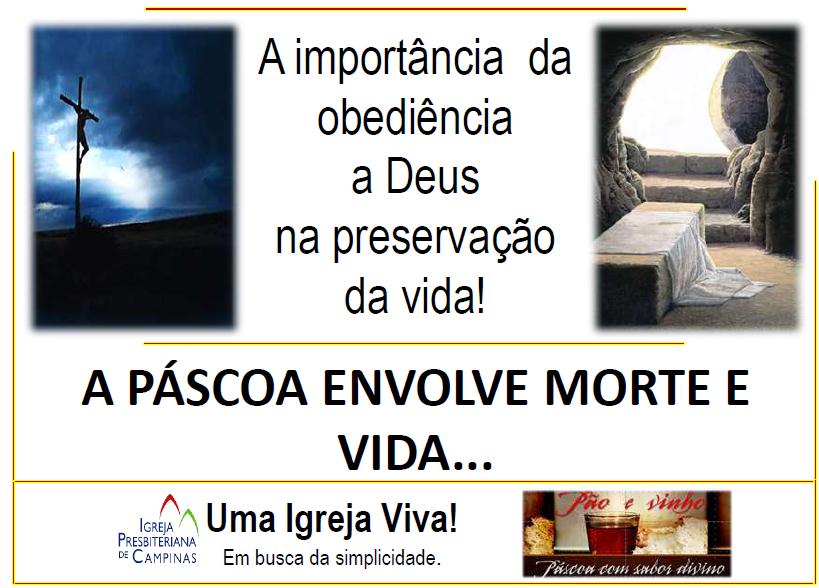 - A série até aqui - Pão e Vinho, pascoa com sabor divino nos trouxe: - Lições sobre a ação de Deus; - Não se limita a questões geográficas.