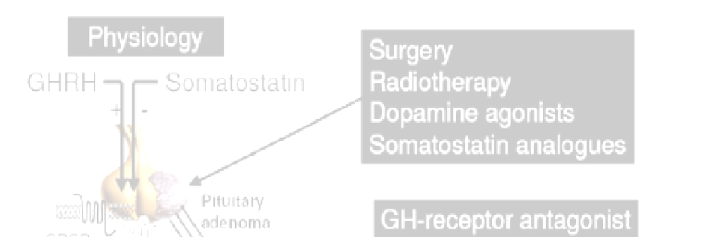 Antagonista receptor GH Antagonista receptor GH