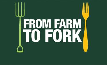Farm to fork Diferentes etapas