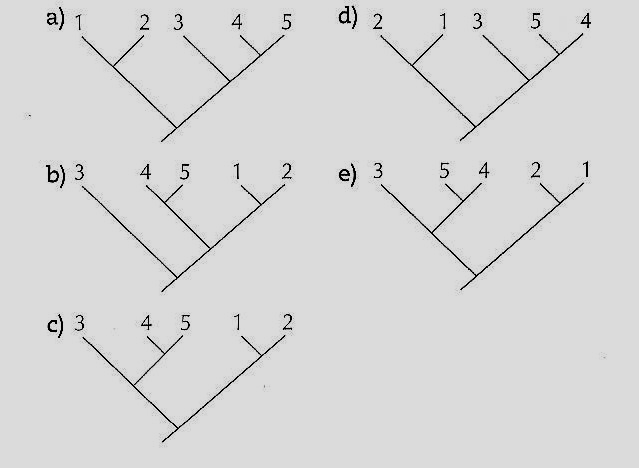 Está correto o que se afirma em: a) I e II somente b) I e III somente c) II e III somente d) I, II e III e) somente em III. 40.