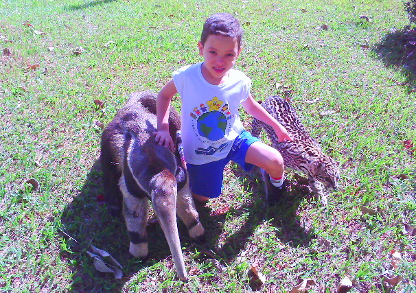 Foto 02 Criança com animais taxidermizados. Autor: ROCHA, Eduardo Venancio, mai.,/ 2009.