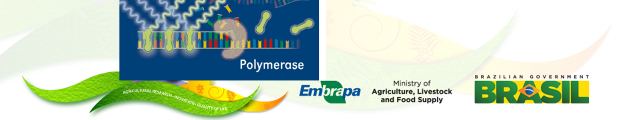 Método de detecção de produtos de amplificação: SYBR Green Vantagens: custo; sensibilidade; só liga a DNA