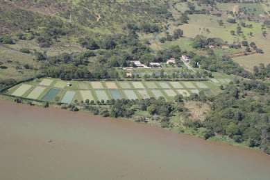 Figura 9. Estação de Piscicultura de Machado Mineiro Após reformas no Centro Integrado de Recursos Pesqueiros e Aquicultura de Três Marias, a estação retornou com sua produção na safra 2010-2011.