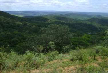de remanescentes expressivos da vegetação de Cerrado e da fauna diversificada da área do empreendimento. Possui 2.847 ha, sendo a maior UC da Cemig.