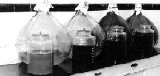 Alcoolaturas Método de preparação: Maceração. 500g de planta em 1000mL de álcool de graduação alcoólica apropriada, durante 15 dias.
