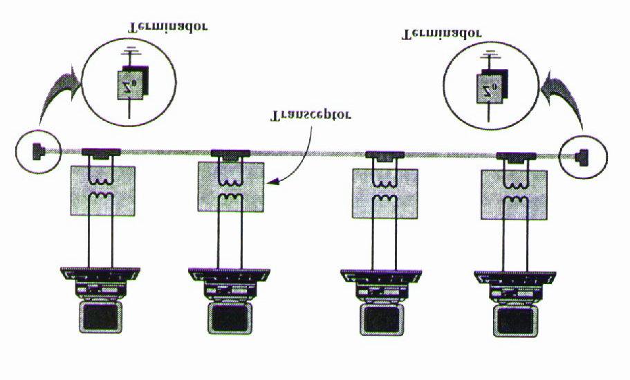 Redes usando difusão barramento link satélite Anel possuem um único canal de difusão compartilhado por todas as máquinas na rede.