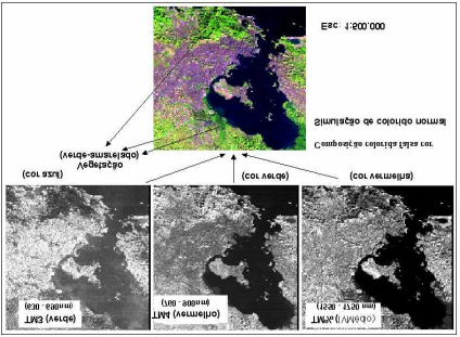 Fig. 9 Composição colorida das bandas TM3 (B), TM4 (G) e TM5 (R) para mostrar a coloração verde-amarelada da vegetação. FONTE: Moreira (Prelo, 2000) 2.