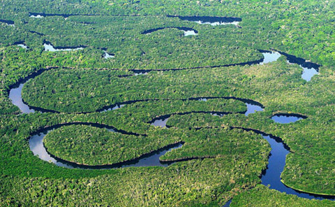 Atividade 5 e 6: 1. O que é bioma? 2. Como podem ser os ambientes aquáticos? 3. Na cidade em que você reside tem algum ambiente aquático? 4. O clima na Floresta Atlântica é e. 5. Qual a situação da conservação na Floresta Atlântica?