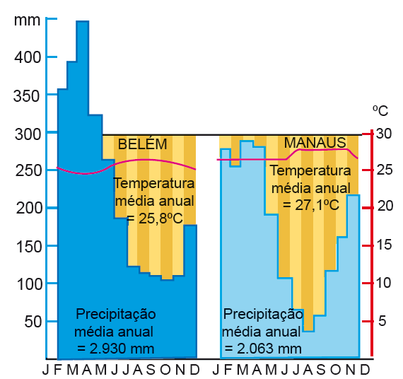 Floresta Amazônica Floresta de clima equatorial Ocupa 40% da superfície brasileira T média anual: 26 C Ciclos de chuva