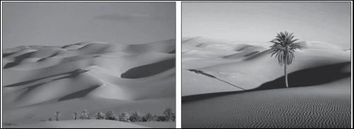 Colégio Franco-Brasileiro 5 Fonte: google.imagens.com.br Compreende-se hoje que os desertos são domínios morfoclimáticos fundamentais para o equilíbrio ecológico do planeta.