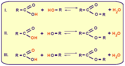 34 (Cesgranrio-RJ) A hidrólise do benzoato de etila leva à formação de: a) éster e álcool. b) aldeído e álcool. c) ácido e éter. d) ácido e aldeído. e) ácido e álcool.